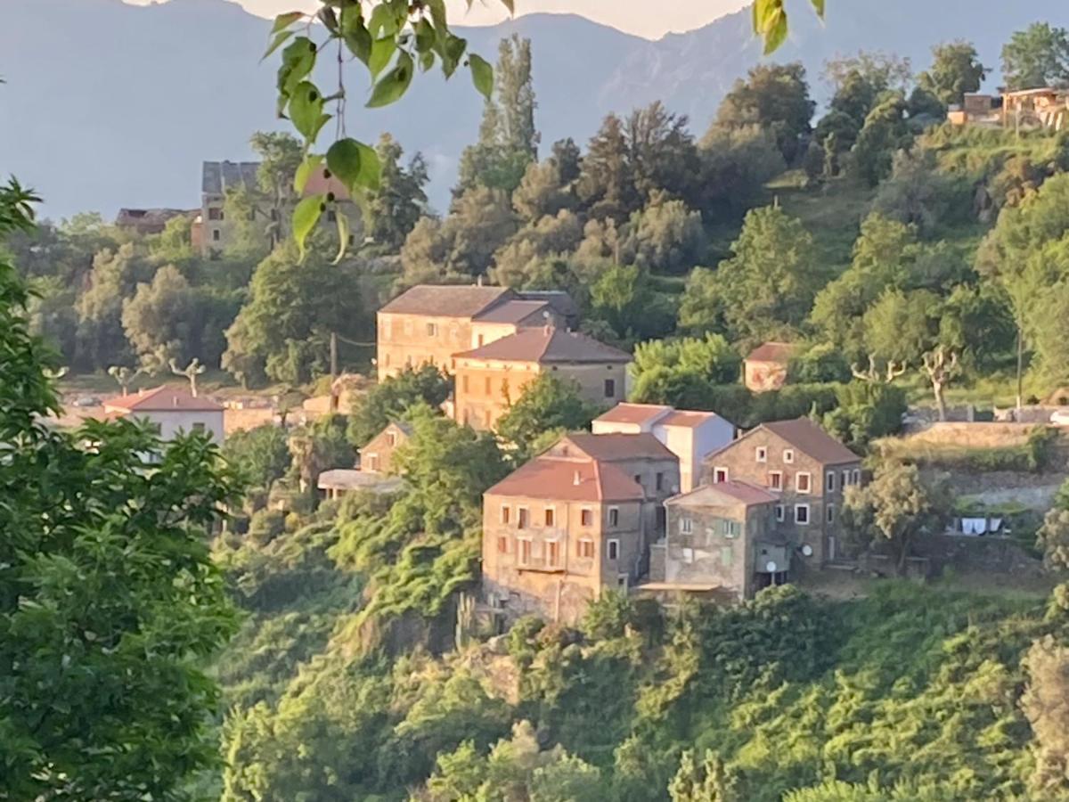 Casa A Stretta Apartamento Castello-di-Rostino Exterior foto